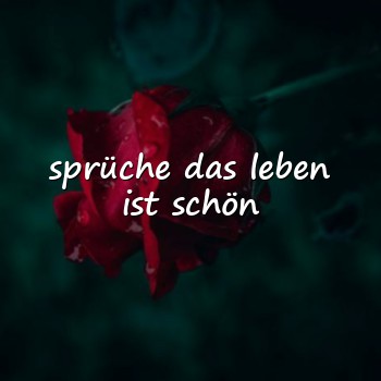 sprüche das leben ist schön - 2026