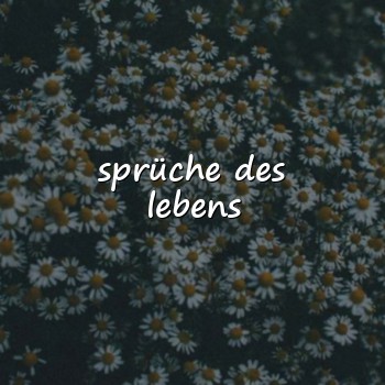 sprüche des lebens - 2026