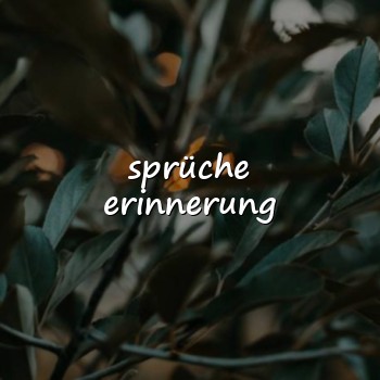 sprüche erinnerung - 2026