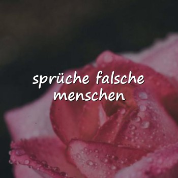 sprüche falsche menschen - 2026