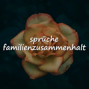 sprüche familienzusammenhalt - 2026