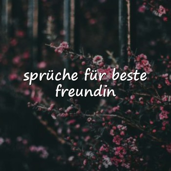 sprüche für beste freundin - 2026