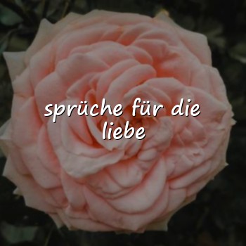 sprüche für die liebe - 2026