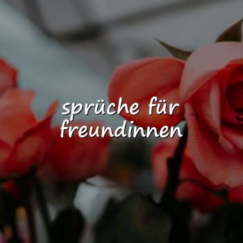 sprüche für freundinnen - 2026