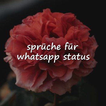sprüche für whatsapp status - 2026