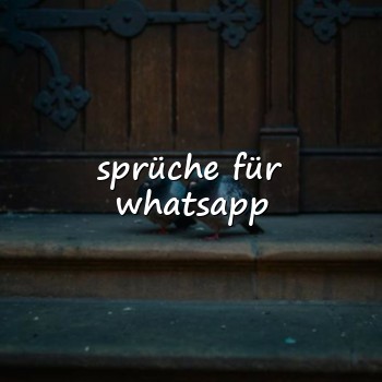sprüche für whatsapp - 2026