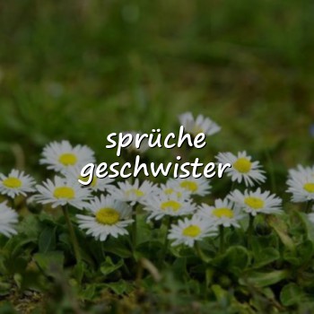 sprüche geschwister - 2026