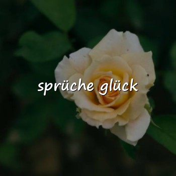 sprüche glück - 2026