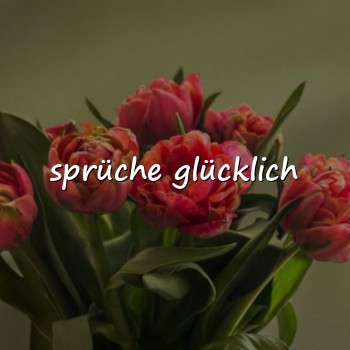 sprüche glücklich - 2026