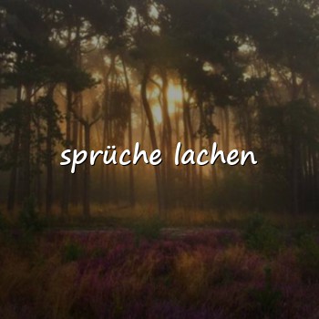 sprüche lachen - 2026