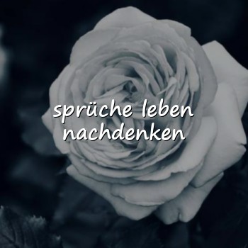sprüche leben nachdenken - 2026