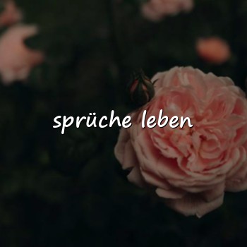 sprüche leben - 2026