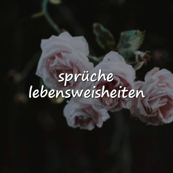 sprüche lebensweisheiten - 2026