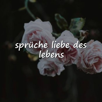 sprüche liebe des lebens - 2026