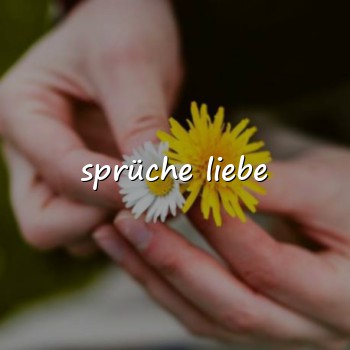 sprüche liebe - 2026