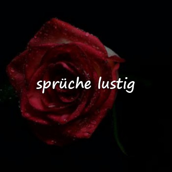 sprüche lustig - 2026