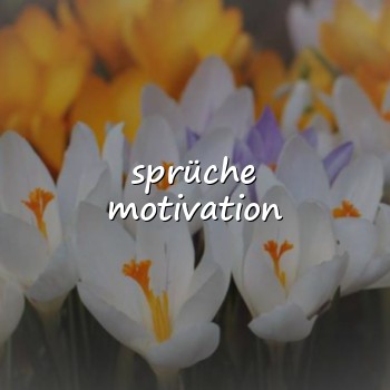 sprüche motivation - 2026