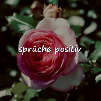sprüche positiv - 2026
