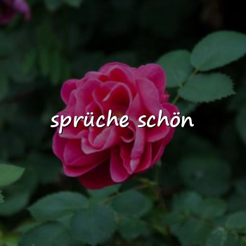 sprüche schön - 2026