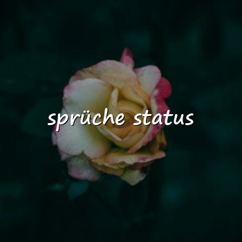 sprüche status - 2026