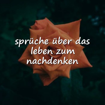 sprüche über das leben zum nachdenken - 2026