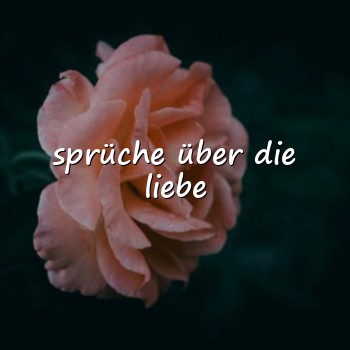 sprüche über die liebe - 2026