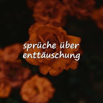 sprüche über enttäuschung - 2026