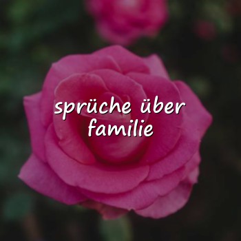 sprüche über familie - 2026