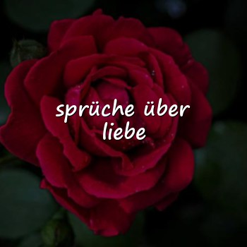 sprüche über liebe - 2026