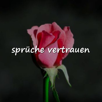 sprüche vertrauen - 2026