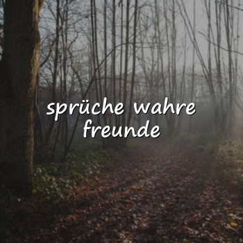 sprüche wahre freunde - 2026