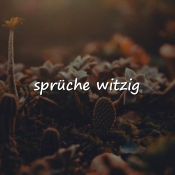 sprüche witzig - 2026