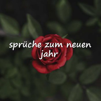 sprüche zum neuen jahr - 2026