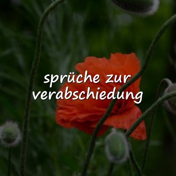sprüche zur verabschiedung - 2026