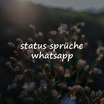 status sprüche whatsapp - 2026