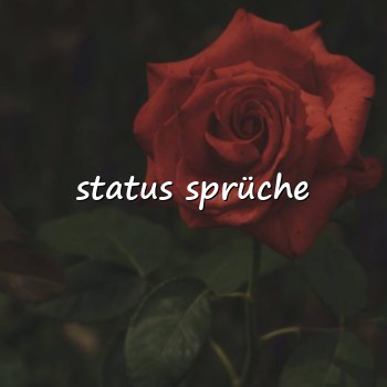 status sprüche - 2026