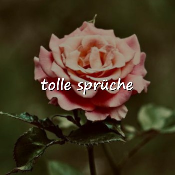 tolle sprüche - 2026