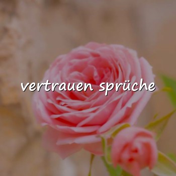 vertrauen sprüche - 2026