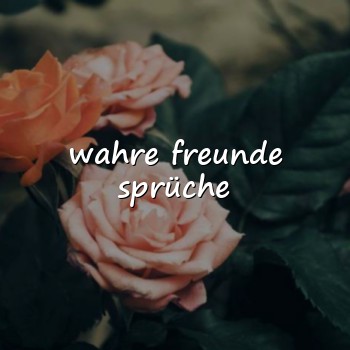 wahre freunde sprüche - 2026