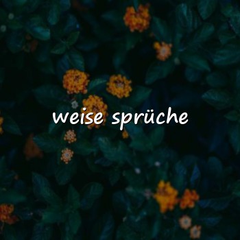 weise sprüche - 2026