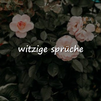 witzige sprüche - 2026
