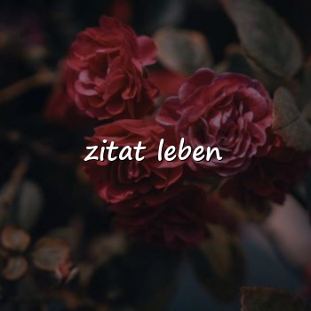 zitat leben - 2026