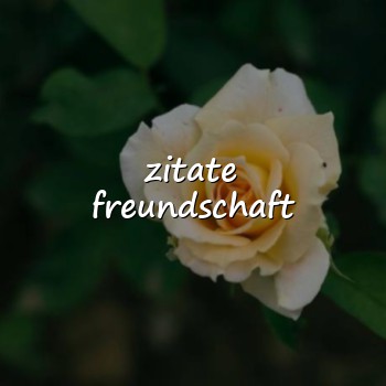 zitate freundschaft - 2026