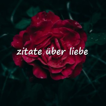zitate über liebe - 2026