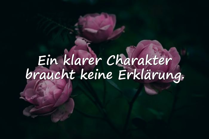 Bilder mit charakter sprüche - 11