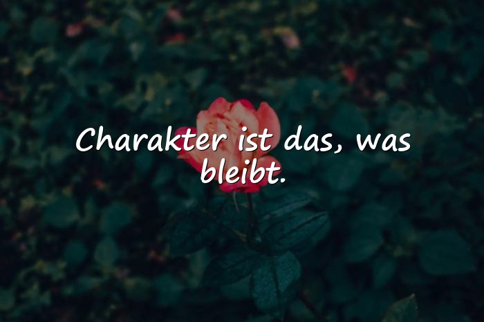 Bilder mit charakter sprüche - 6