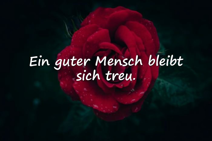Bilder mit charakter sprüche - 6