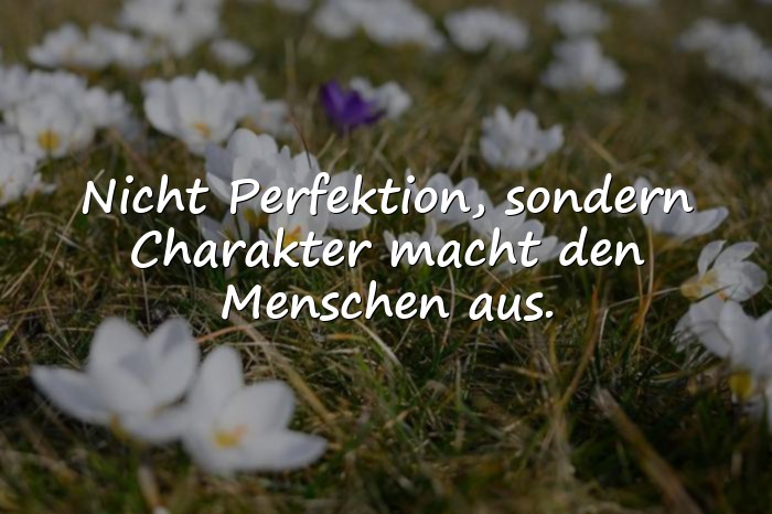 Bilder mit charakter sprüche zum nachdenken - 16