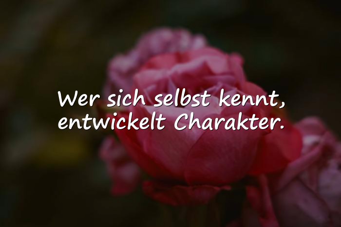 Bilder mit charakter sprüche zum nachdenken - 6