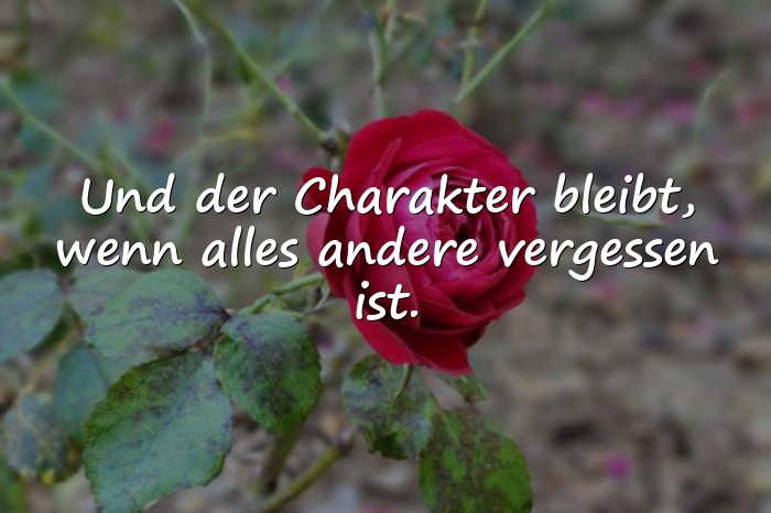 Bilder mit charakter sprüche zum nachdenken - 1